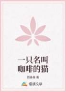 一只名叫咖啡的猫