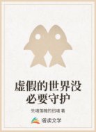 虚假的世界没必要守护