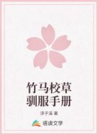 竹马校草驯服手册