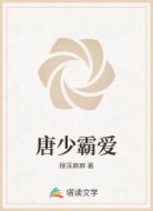 唐少霸爱