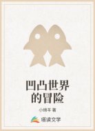 凹凸世界的冒险