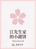 江先生家的小甜饼