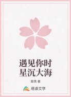 遇见你时星沉大海