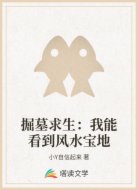 掘墓求生：我能看到风水宝地