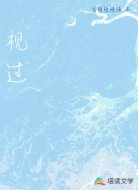 视过
