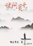 试问灵元