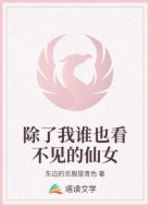 除了我谁也看不见的仙女