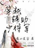 穿越辅助少将军