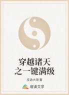 穿越诸天之一键满级