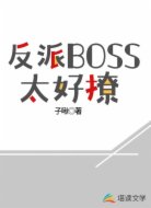 反派BOSS太好撩