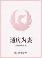 通房为妻