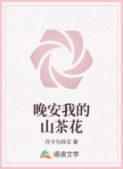 晚安我的山茶花