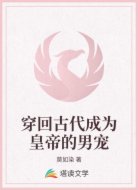 穿回古代成為皇帝的男寵