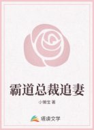 霸道总裁追妻