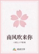 南风吹来你