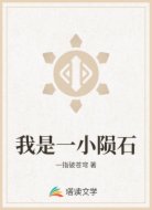 我是一小陨石