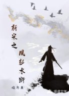 新宋之风起水浒