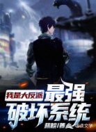 我是大反派:最强破坏系统
