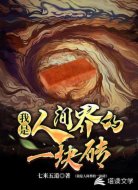 我是人间界的一块砖