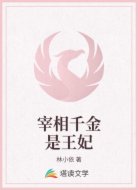 宰相千金是王妃