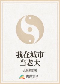 我在城市当老大