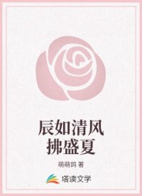 辰如清风拂盛夏