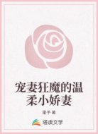 宠妻狂魔的温柔小娇妻