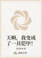 天啊，我变成了一具铠甲！