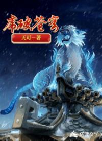 书名