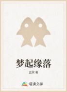 梦起缘落