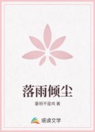 落雨倾尘