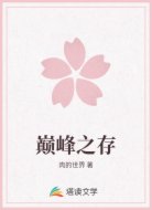 巅峰之存