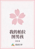 我的柏拉图男孩