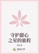 守护甜心之星的旅程