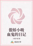 傲娇小吸血鬼的日记