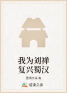 我為劉禪復(fù)興蜀漢