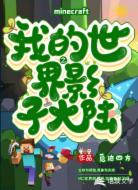 我的世界:影子大陆