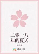 二零一八年的夏天