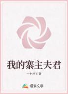 我的寨主夫君