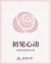 初見心動