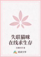 失联猫咪在线求生存