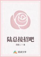 陆总接招吧