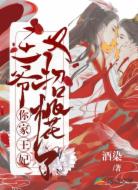 王爷,你家王妃又招桃花了