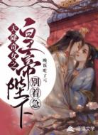 天降奇女之皇帝陛下别着急