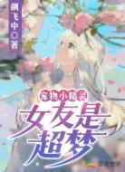 宠物小精灵:女友是超梦