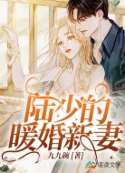 陸少的暖婚新妻