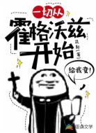 一切从霍格沃兹开始