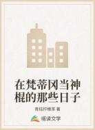 在梵蒂冈当神棍的那些日子