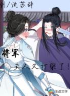 將軍夫人又打架了