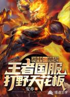 初中：便是王者国服打野天花板